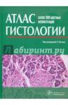 Атлас гистологии. Более 500 цветных иллюстраций