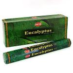 Эвкалипт (Eucalyptus), HEM, 6 шт.