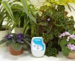Невотон-АКВА Система автоматизированного полива растений