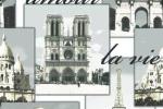 8969. Рулонная штора Париж серый
