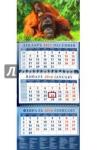 2016 Календарь 14610 Год обезьяны.Орангутанги-мама