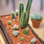 Гранулят Seramis