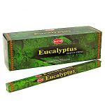 Эвкалипт (Eucalyptus), HEM, 25 шт.