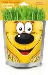 Happy Plant Сафари Львенок