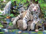 Пазл Super 3D Белые тигры Бенгалии, 63 детал.