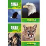 Альбом для рисования ACTION! ANIMAL PLANET, 40 л. , на гребне, уф-лак, 2 дизайна