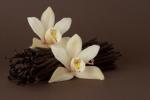 №857 Духи Orchid-Vanill (Орхидея с ванилью) 100 мл