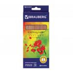 Карандаши цветные BRAUBERG "Цветы", набор 12 цветов, трехгранные, лакированное дерево, 181288