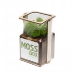 Композиция «Мох в интерьере «MossBox» fire green cube