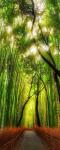 Рулонная штора лен "Бамбуковая роща"                             (d-200586-gr)