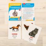 Обучающие карточки по методике Г. Домана «Домашние животные на английском языке»