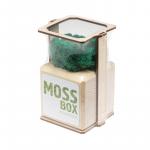 *Композиция «Мох в интерьере «MossBox» wooden moray cube