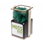 *Композиция «Мох в интерьере «MossBox» black moray cube