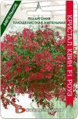 Пеларгония плющелистная ампельная Кристал Квин  F1 Роуз. Семена.
