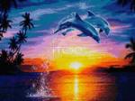 Алмазная вышивка Дельфины на закате