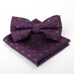Набор мужской: галстук-бабочка 12х6, платок 21х21, фиолетовый, п/э