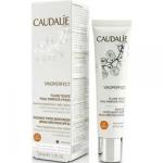 Caudalie Fluide Teinte Peau Parfaite FPS20 Medium - Флюид тонирующий Совершенная кожа, тон 02, 40 мл