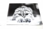 салфетка микрофибра черно-белый кот