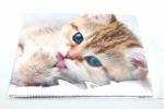 салфетка для очков микрофибра рыжий котенок