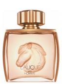 LALIQUE POUR HOMME EQUUS m