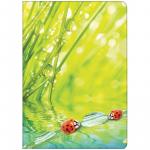 Папка-уголок Berlingo "Ladybird", А4, 180мкм, рисунок, AGp_04032