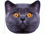 Подушка декоративная рельефная кошки микс 6126784