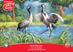 Альбом для рисования на клею ArtBerry® Экзотические птицы, А4, 20 листов