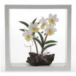 FR-006-N миниатюра "Орхидея" в рамке 1/12уп