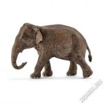 Азиатский слон, самка