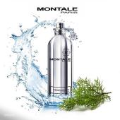 MONTALE SANDFLOWERS unisex