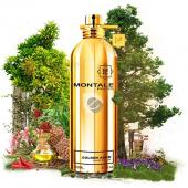 MONTALE GOLDEN AOUD unisex