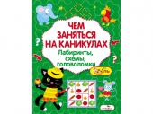 Чем заняться на каникулах? Лабиринты, схемы, головоломки. Выпуск 6