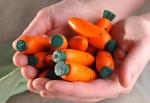 Счетный материал 12 морковок в коробочке-сортере