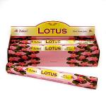 Лотос (Lotus), SARATHI, 6 шт.