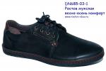 Мужская обувь DN 685-03-1