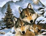 GX 5055 Волки в зимнем лесу 40*50