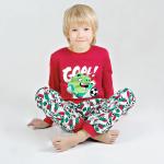 Пижама джемпер+брюки 'Angry Birds' для мальчика р.28-36