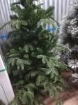 TORONTO SPRUCE 210 см. Forest Market Искусственная елка (PE + ПВХ)