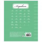 Тетрадь 12л. BRAUBERG ЭКО "5-КА", узкая линия, обложка плотная мелованная бумага, ЗЕЛЕНАЯ, 104765