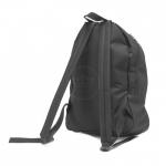 Рюкзак Rise-м-201,  молодежный,  уплотн.спинка,  2отд,  черный 221919