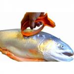 Точилка-рыбочистка для заточки ножей, ножниц и чистки рыбы