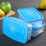 Набор контейнеров для замораживания продуктов 0,7 л "Морозко" 3 шт, цвет голубой