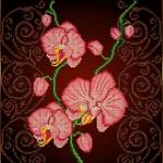 "Орхидея розовая" Рисунок на ткани 30х30