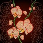 "Орхидея бежевая" Рисунок на ткани 30х30