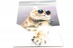 салфетка для очков микрофибра кот в очках