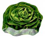 Блюдо сервировочное Lettuce, 16x18см