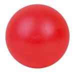 E29315 Мяч для пилатеса (ПВХ) 25 см (розовый)