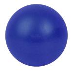 E29315 Мяч для пилатеса (ПВХ) 25 см (синий)
