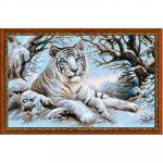 Набор для вышивания "RIOLIS" "Сотвори Сама"   1184   "Бенгальский тигр"