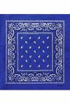 Paisley Cotton 55х55 см